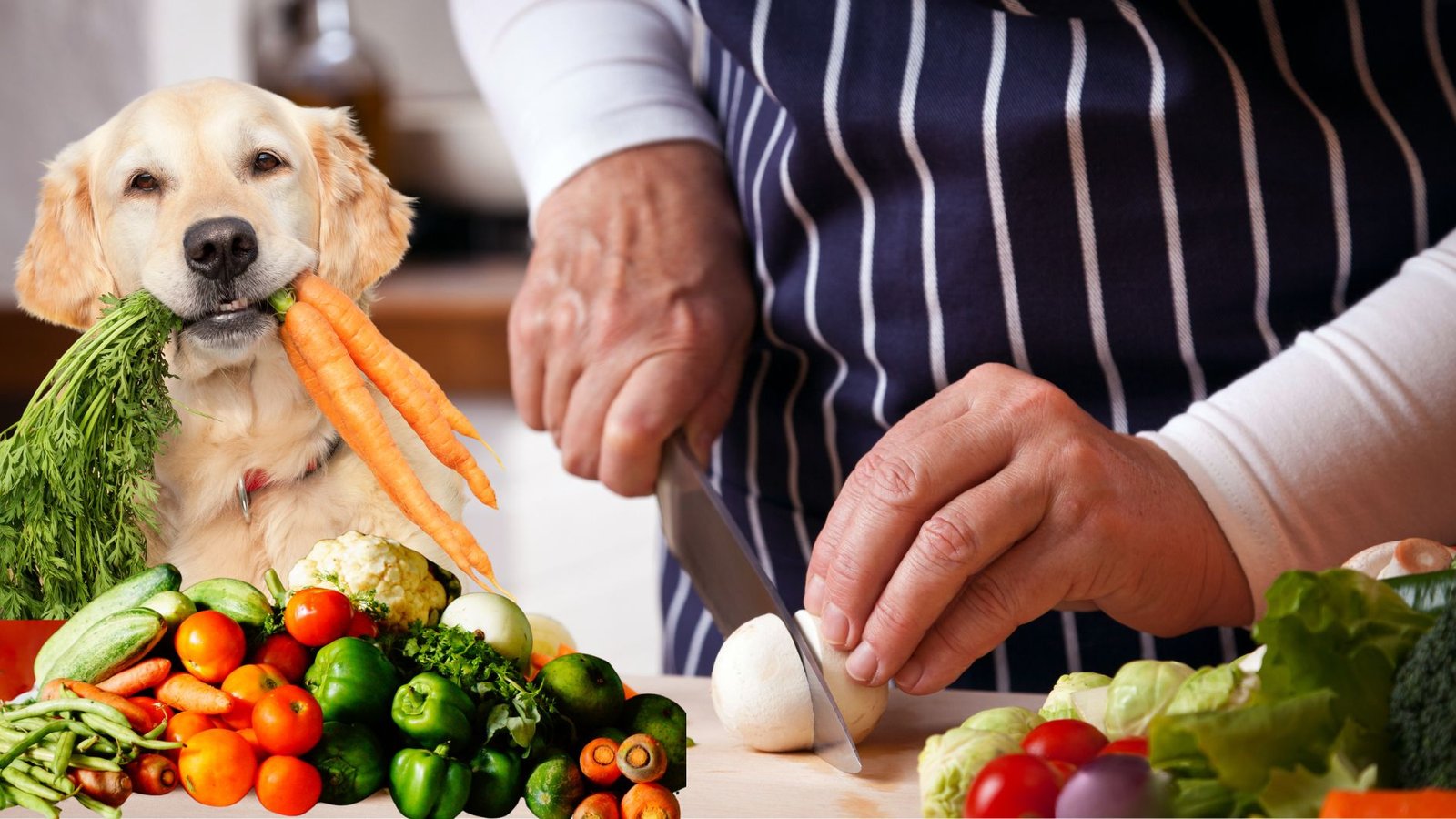chef partiendo verduras