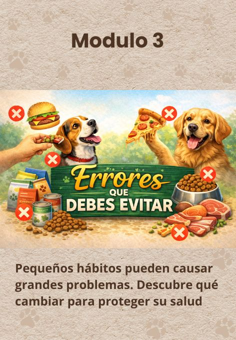 Errores que se deben evitar en la alimentación canina