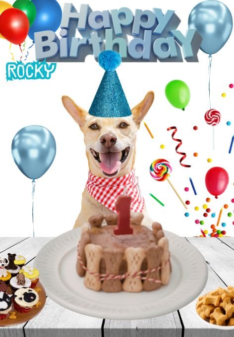 celebrando cumpleaños de perro